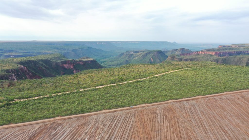 Como fazer a abertura de novas áreas de maneira correta, de acordo com cultura planejada