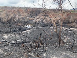 Produtores baianos doam equipamentos para apoiar no combate a incêndios na Chapada Diamantina