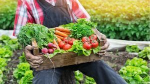 Movimento Slow Food: Já Ouviu Falar?