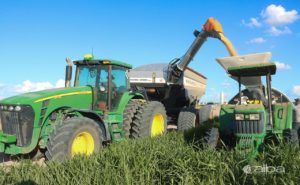 Com 70% da soja colhida, produtores preveem excelente resultado da safra 21/22