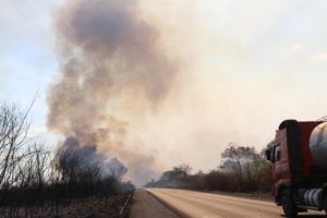 Focos de incêndios florestais no Oeste Baiano são combatidos por meio de ações preventivas
