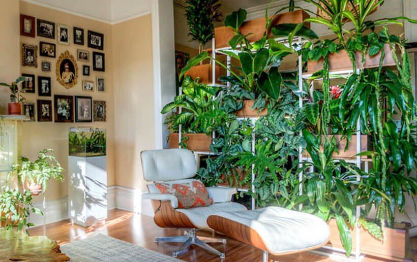 O que é Urban Jungle e como adotar esse estilo na sua casa?