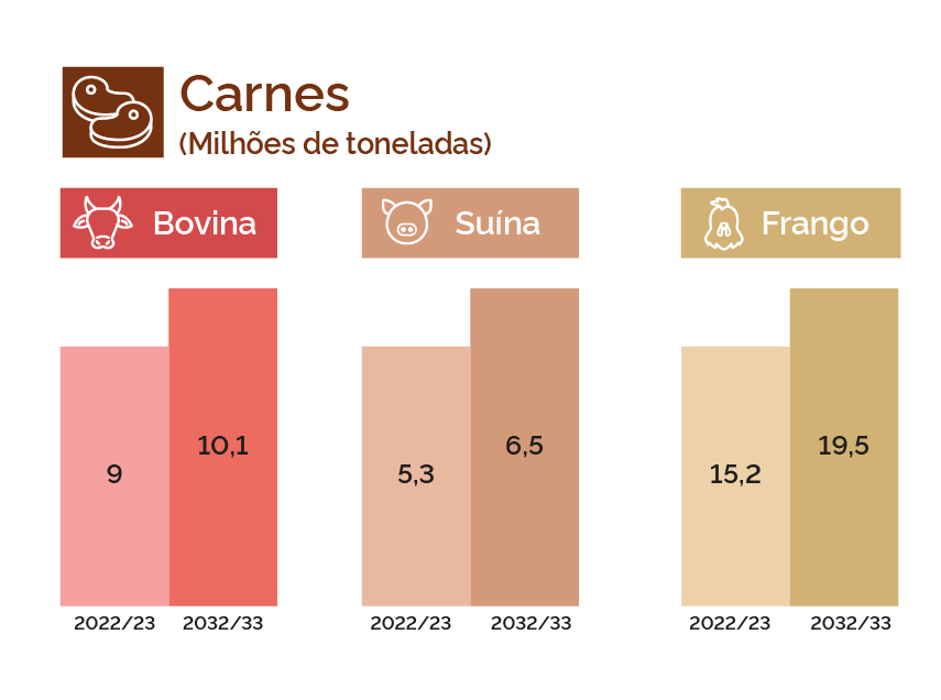 Produção de grãos brasileira deverá chegar a 390 milhões de toneladas nos próximos dez anos