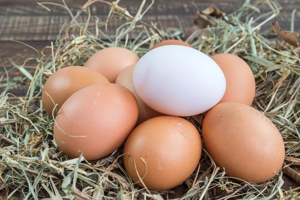 Alimentos que diminuem a ansiedade: saiba como a dieta afeta seu humor