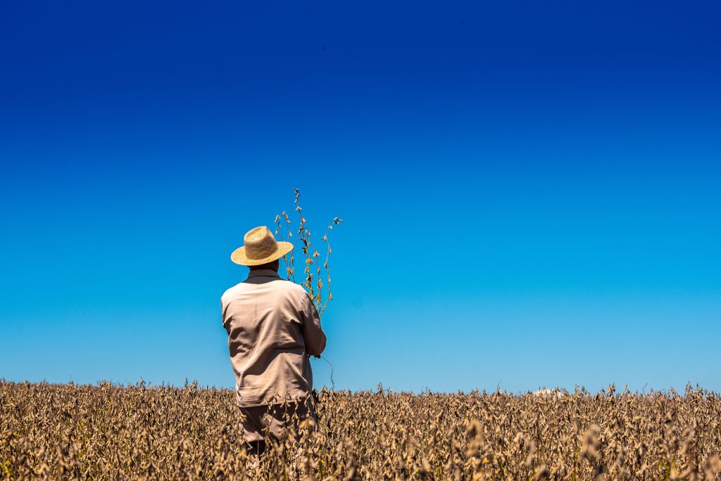 CMN flexibiliza crédito a agricultores de áreas com riscos climáticos