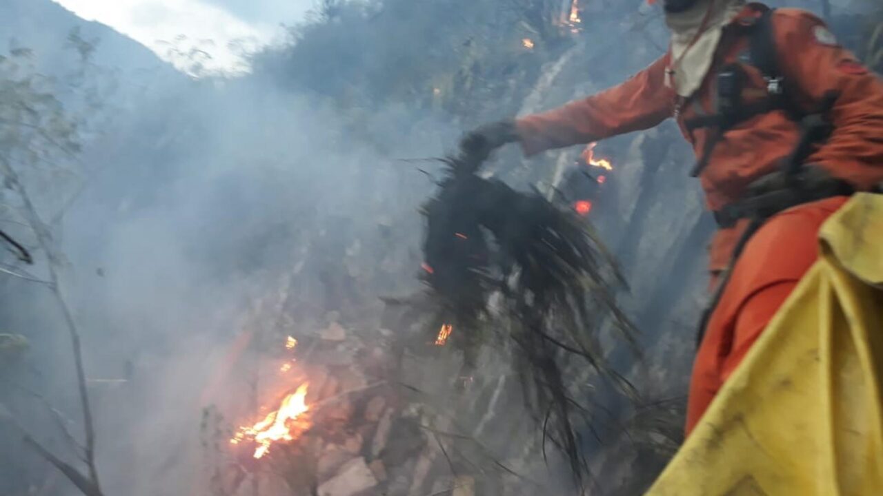 Bahia Sem Fogo atua de forma intensiva no combate aos incêndios florestais