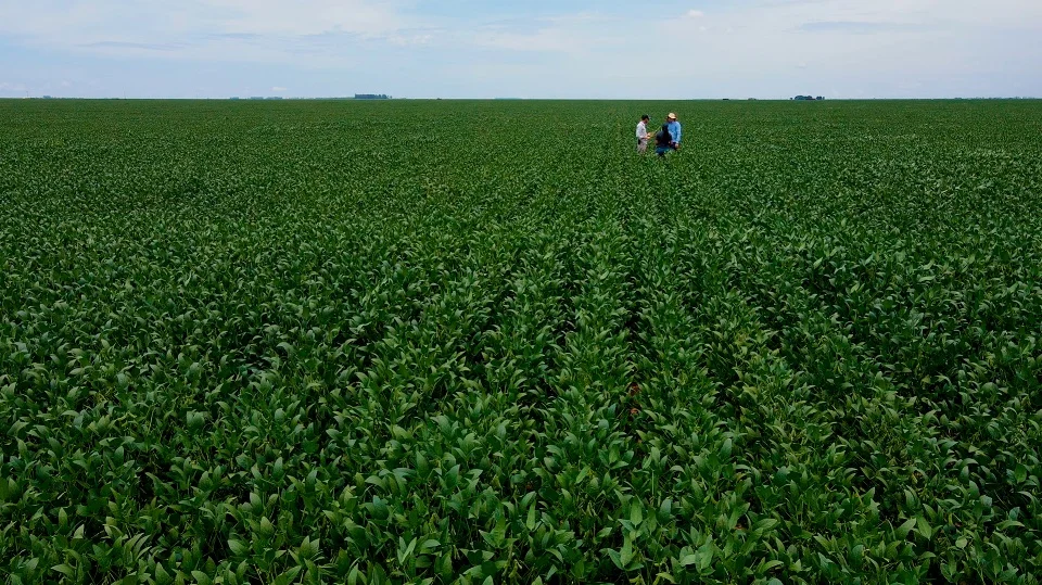 Os reflexos do agronegócio no desenvolvimento do Oeste da Bahia