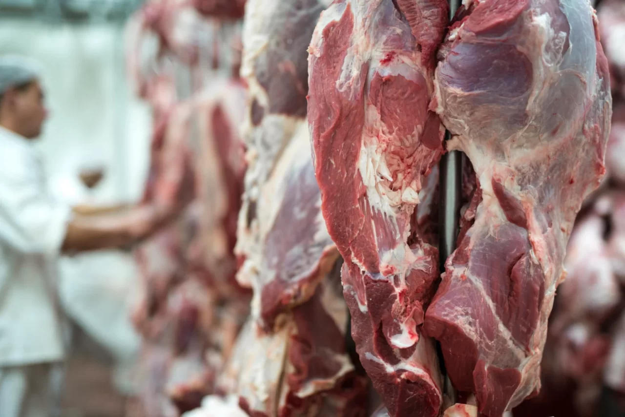 Brasil alcança novo recorde em exportação de carne bovina