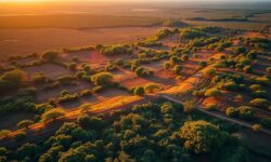 Cerrado Summit: Lideranças Globais Se Reúnem para Definir Futuro da Agricultura Sustentável no Brasil