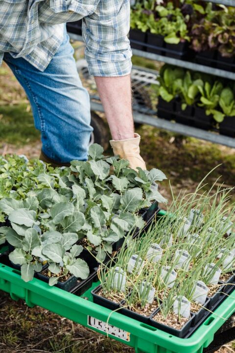 Escola do Jardim Paraíso recebe horta escolar