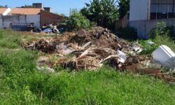 Donos de lotes sujos e com mato alto em LEM, têm 30 dias para realizar a limpeza