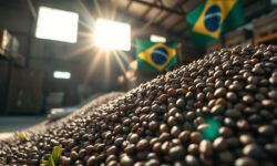 Café no Brasil: Vendas freadas em 2025/26 - Como o setor dribla a lentidão e desafia a média histórica?