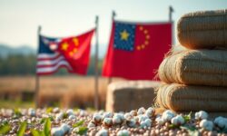 "Guerra Comercial EUA-China: Oportunidades de Ouro para Algodão e Soja"