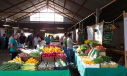 Agroformosa: Feira de Agronegócios Promete Revolucionar Economia Local com Edição Histórica
