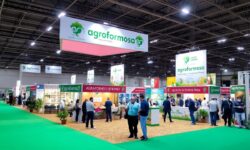 Agroformosa: O Evento que Vai Turbinar o Comércio Local com Novas Oportunidades