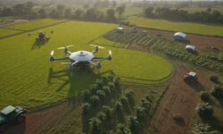 Bahia Farm Show 2025: Agro Inteligente e Sustentável em Destaque no Maior Evento do Agronegócio Brasileiro