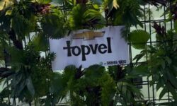 Topvel realiza coquetel pré-Bahia Farm Show com sucesso de vendas