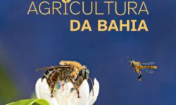 “Agricultura da Bahia” é celebrada com lançamento de livro e exposição fotográfica