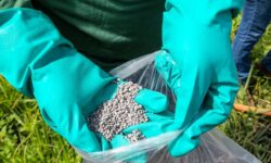 Escalada do conflito entre Irã e Israel preocupa mercado global de ureia e eleva custos no Brasil