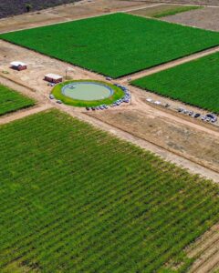 Inovação e sustentabilidade são destaques do Seminário de Fruticultura Irrigada, evento que acontece dentro da Barra Agroshow
