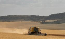 Bahia consolida força no comércio exterior e agronegócio impulsiona cidades do Oeste