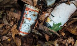 15 anos da Política Nacional de Resíduos Sólidos