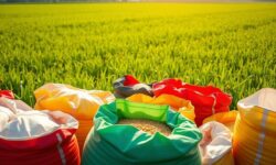 Revolução Agrícola: Aliko Dangote transforma a Etiópia em potência de fertilizantes com investimento bilionário