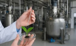 5 Razões Pelas Quais Ester Baiget Acredita que o Brasil Pode Liderar a Revolução das Biossoluções e Transformar o Mundo