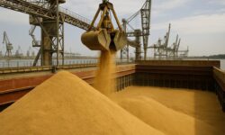 Exportação de Farelo de Soja Cresce 200 Mil Toneladas O Que Esperar do Futuro