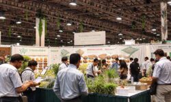 Revolução no Agronegócio: Feira em Salvador promete milhões e inovações para o futuro da agropecuária!