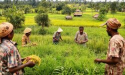 O surpreendente crescimento das cooperativas na Bahia: como mais de R$ 9 bilhões movimentados estão transformando a economia local!