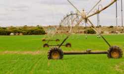 FIBA 2025 fortalecerá debates sobre irrigação e sustentabilidade