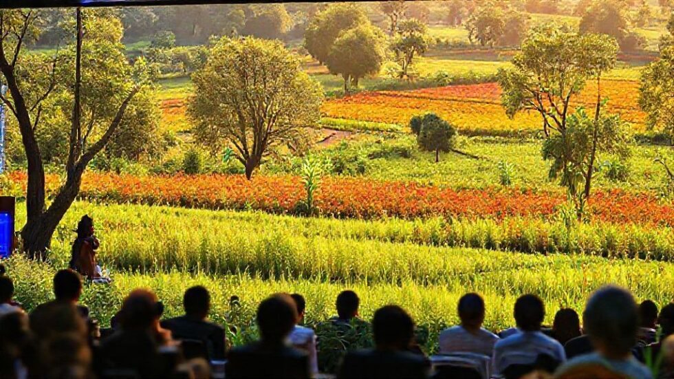 Como o Brasil Pode Liderar a Revolução da Bioeconomia: 5 Estratégias Inovadoras para um Futuro Sustentável