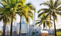 Revolução Verde: Como o Biodiesel B50 Pode Transformar a Economia da Indonésia e Reduzir Emissões em 5 Passos Cruciais