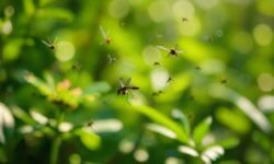 Revolução na Luta Contra Doenças: Como um Brasileiro Está Transformando a Ciência com a Bacterioterapia