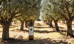 Descubra o Azeite Sabiá: O Tesouro da Itália Que Chega ao Brasil e Revoluciona o Paladar!