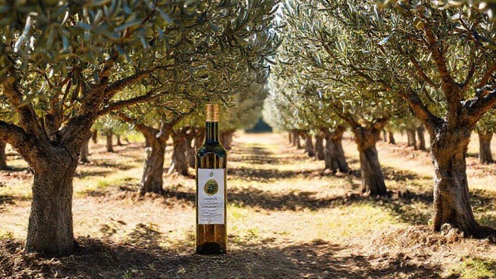 Descubra o Azeite Sabiá: O Tesouro da Itália Que Chega ao Brasil e Revoluciona o Paladar!