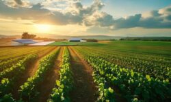 Transforme sua Fazenda: Como a Tecnologia 4G Está Economizando R$ 1 Milhão e Aumentando a Produtividade em 10 Passos Incríveis