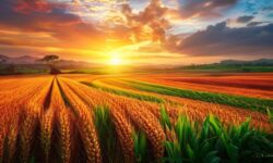 Revolução do Agronegócio: Como o Brasil Quebrou Recordes de Exportação e Conquistou Novos Mercados