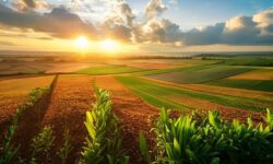 Oportunidades e Desafios do Acordo Mercosul-União Europeia: Como Transformar a Economia da América do Sul em 5 Passos Essenciais