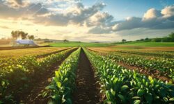 Revolução Digital: 5 Razões para Investir em Agricultura com IA Soberana e Garantir sua Segurança Alimentar