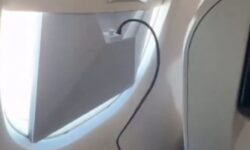 Polêmica nos Céus: Criador Liga Starlink em Voo Comercial