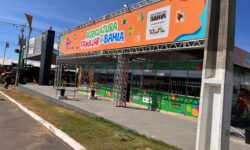 Caravanas e agricultura familiar revelam o agro que nasce da raiz