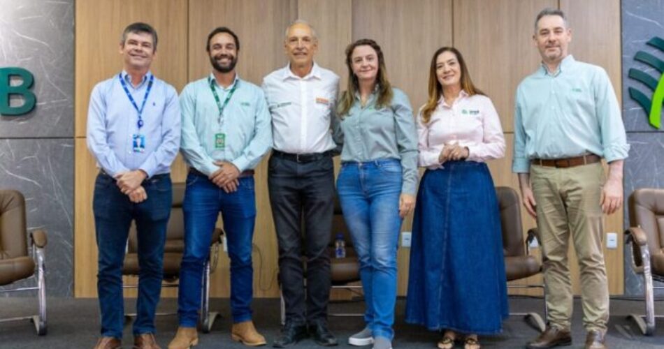 Gazeta News