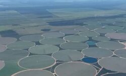 Oeste da Bahia e Matopiba seguem impulsionando o agro brasileiro, mas infraestrutura ainda limita competitividade